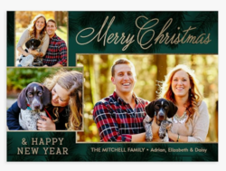 Let's Make Memories Personalized Photo Christmas Cards with Envelopes - Premium Quality - 5x7-2025 Holiday Cards & White Envelopes - Gilded Pine Trio - 15 ct from SKANDA INTERNATIONAL FZ LLE