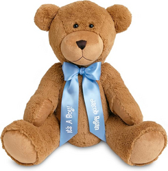 Let's Make Memories Personalized Giant Teddy Bear - Plush Stuffed Animal for Her Him Kids 6+ - 27" Tall - Valentines Day Birthday Graduation Baby - Custom Text Message Names - Light Blue Satin Ribbon from SKANDA INTERNATIONAL FZ LLE