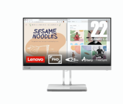 Lenovo L22e-40 Monitor, 21.45” FullHD Resolution, 250 nits Brightness, 75Hz Refresh Rate, AMD FreeSync, HDMI and VGA Ports, Tilt-Adjustable Stand, Natural Low Blue Light, Cloud Grey from SKANDA INTERNATIONAL FZ LLE