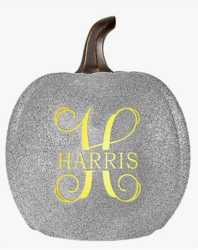 Let's Make Memories Personalized Light Up Halloween Pumpkin Decor Outdoor - Your Name & Initial on a Custom Pumpkin - Jack o Lantern - Fall Decor - Indoor/Outdoor - Large - Silver Glitter