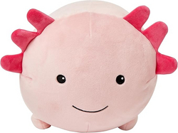 Let's Make Memories Personalzied Plush Axolotl Stuffed Animal for Kids - Super Squishy - Valentines Day - Birthday - for Boy - for Girl - Ajolote - Axolotl from SKANDA INTERNATIONAL FZ LLE