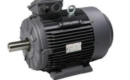 Electric Motor 3Ph 400V T132 10HP