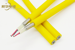 TEC Cable/Tubing Encapsulated Cable