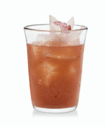 Libbey Lisbon 16-Piece Tumbler and Rocks Glass Set