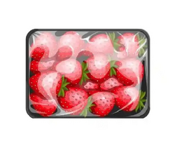 Lock Seal with Antifog - BOPET Film from YOU TAKE INTERNATIONAL CO., LTD.