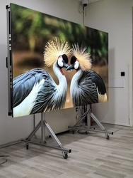 DISPLAY DESIGNERS AND PRODUCERS