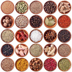 All types of Spices  from GARGI IMPORT EXPORT 