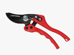 Craftsman 3/4-in. Manual Bypass Pruner for Cutting, Trimming Branches, Shaping Rose Bushes from SKANDA INTERNATIONAL FZ LLE