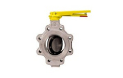 SS Butterfly Valve from HAMMAD ARSHAD GENERAL TRADING LLC