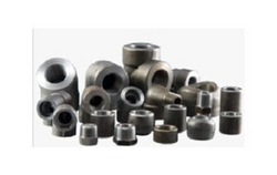 Fittings & Flanges