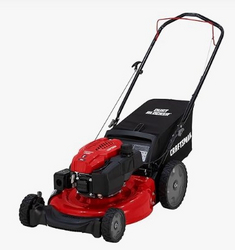 CRAFTSMAN Gas Push Mower, M125C, 163cc, 21-in. (CM11A-B2C2093)