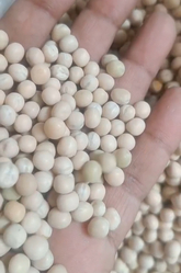 FOOD GRAINS from DHRUVA TRADECORP