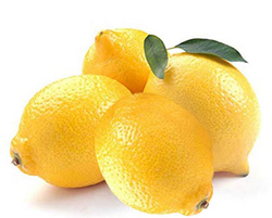 Lemon  from DREAMCELSIUS GROUP SOUTH AFRICA 