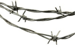 Barb Wire