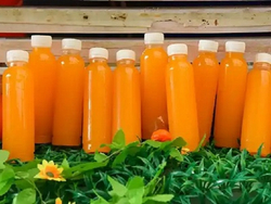 Plastic Injection Molding for Juice Bottles with Caps