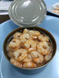 Canned Shrimp in Brine