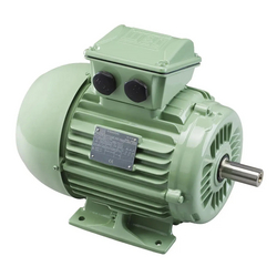 Synchronous motor W22