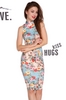 Floral Printed Sleeveless Slim Fitted Dress
