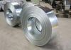 Stainless Steel Strip 316L