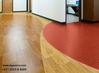 VINYL - BASED RESINS