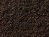 Sweet Soil Supplier in Abu Dhabi 