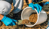 Great Deals! Buy Fertilizer & Soil Online at Best Prices from MASHTEL