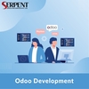 Odoo development service