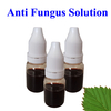 Anti Fungus Solution