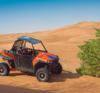 Buggy 900cc Two Seater
