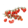 Datterino Tomatoes 