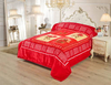 2 Ply Embossed Printed SuperSoft Raschel Blanket