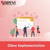 Odoo ERP Software Implementation