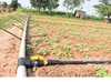 Drip and Sprinkler irrigation