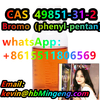 CAS：49851-31-2   Bromo（phenyl-pentan）