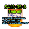 CAS 5413-05-8  bmk oil Bmk Glycidate Oil