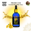 Blue Tansy Essentiel Oi for Producer from BIOPROGREEN