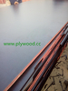 FILM FACED PLYWOOD from CHINA WOOD AGENCY