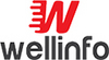 INFORMATION TECHNOLOGY SOLUTION PROVIDER from WELLINFO