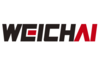 CLUTCH FACE from WEICHAI POWER CO. LTD