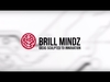 PORTABLE BELT CONVEYOR from BRILLMINDZ TECHNOLOGIES