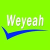 GAS CYLINDER ACCESSORIES from WUHAN WEYEAH POWER MACHINERY CO., LTD.