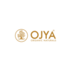 ice cream cone from OJYA NATURAL