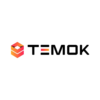 WEB DESIGNING from TEMOK IT SERVICES