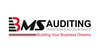 SIZING AGENT from BMS AUDITING