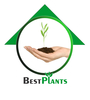 LANDSCAPING EQUIPMENT AND SUPPLIES from BEST PLANTS
