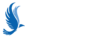 SERIAL NUMBER TRACKING from EAGLE-IOT