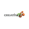 software development from CREATIVITY BUSINESS SOLUTIONS