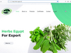 DRIED LEMON from HERBS EGYPT FOR EXPORT  